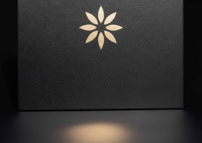 Invisalign pakiet startowy4